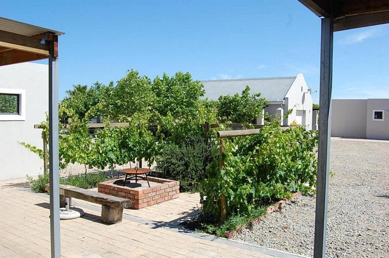 랑게바안 Longacre Olive & Vineyard Estate 게스트하우스 외부 사진
